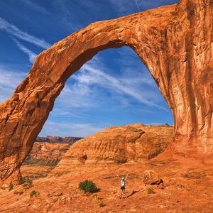 Meet your Posher, Lincoln